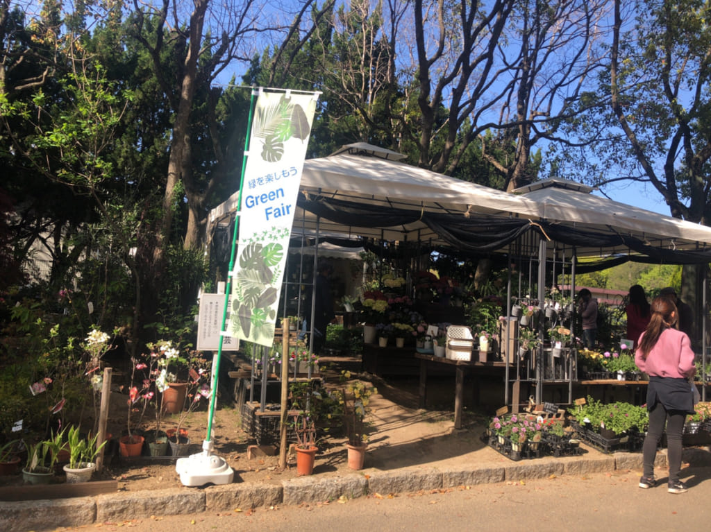 大泉緑地　植木市