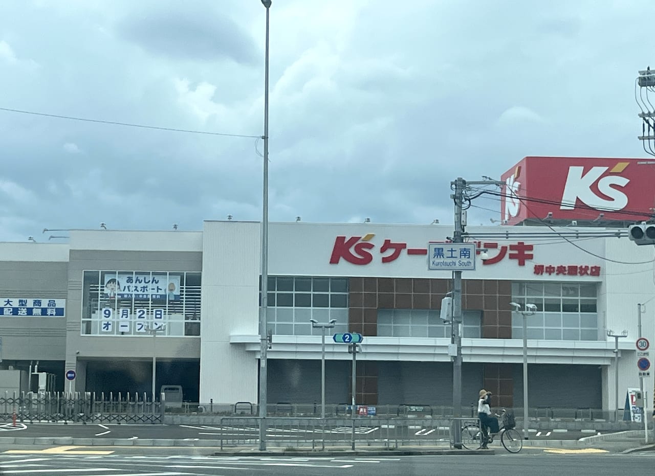 ケーズデンキ堺中央環状店