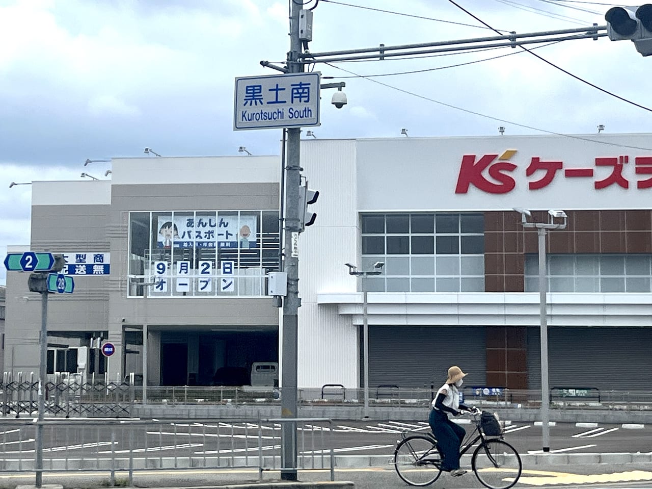 ケーズデンキ堺中央環状店
