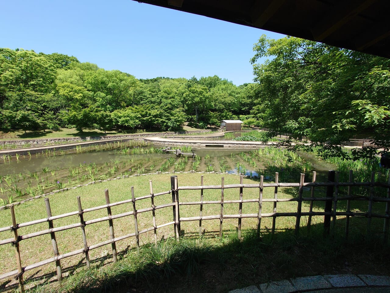 田園