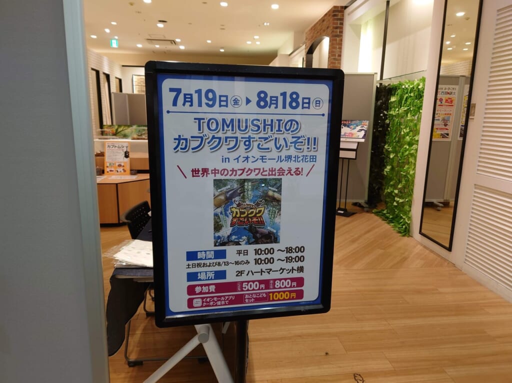 カブクワすごいぞ