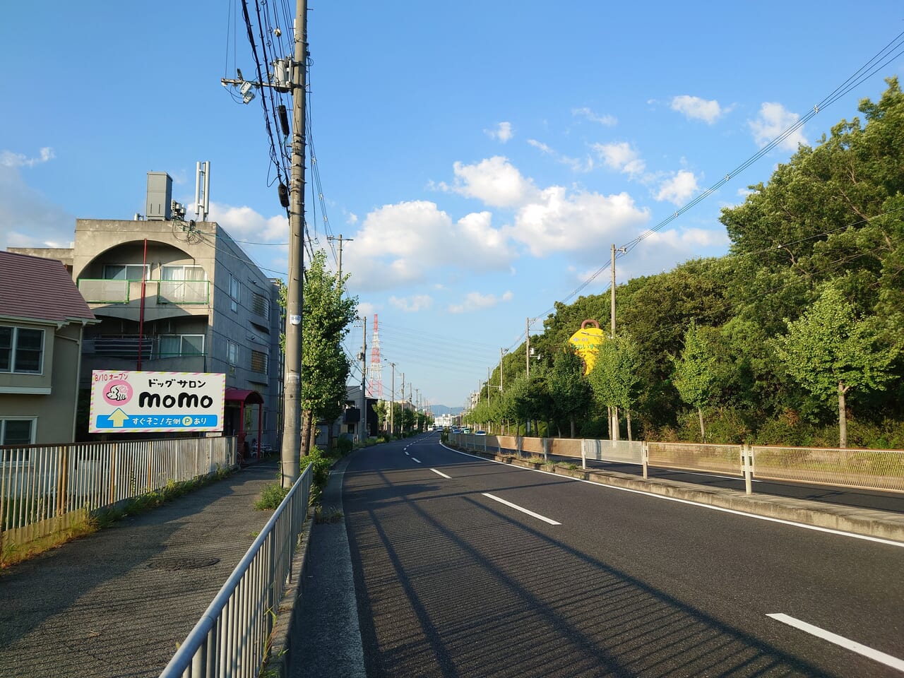 道路