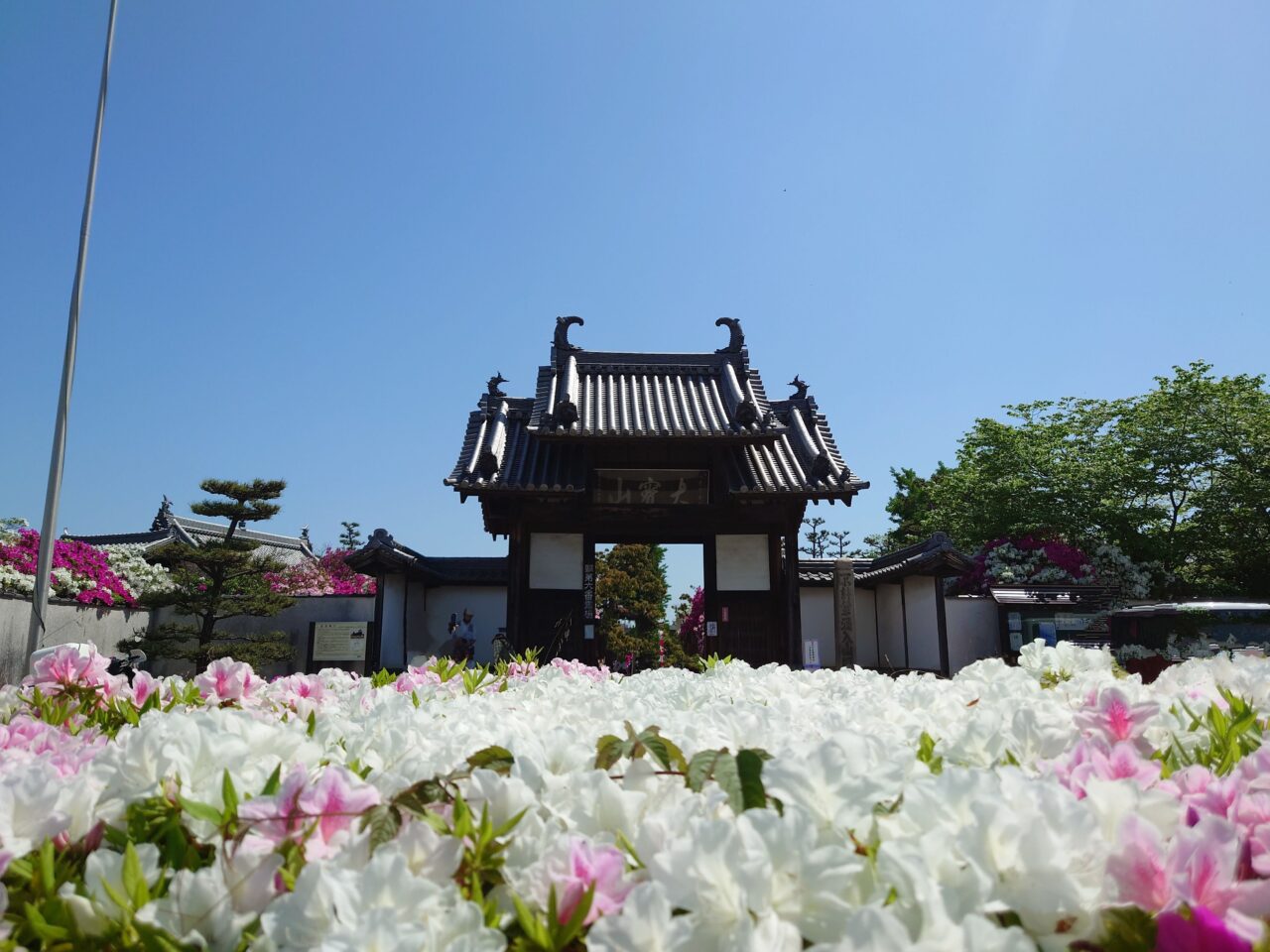 法雲寺