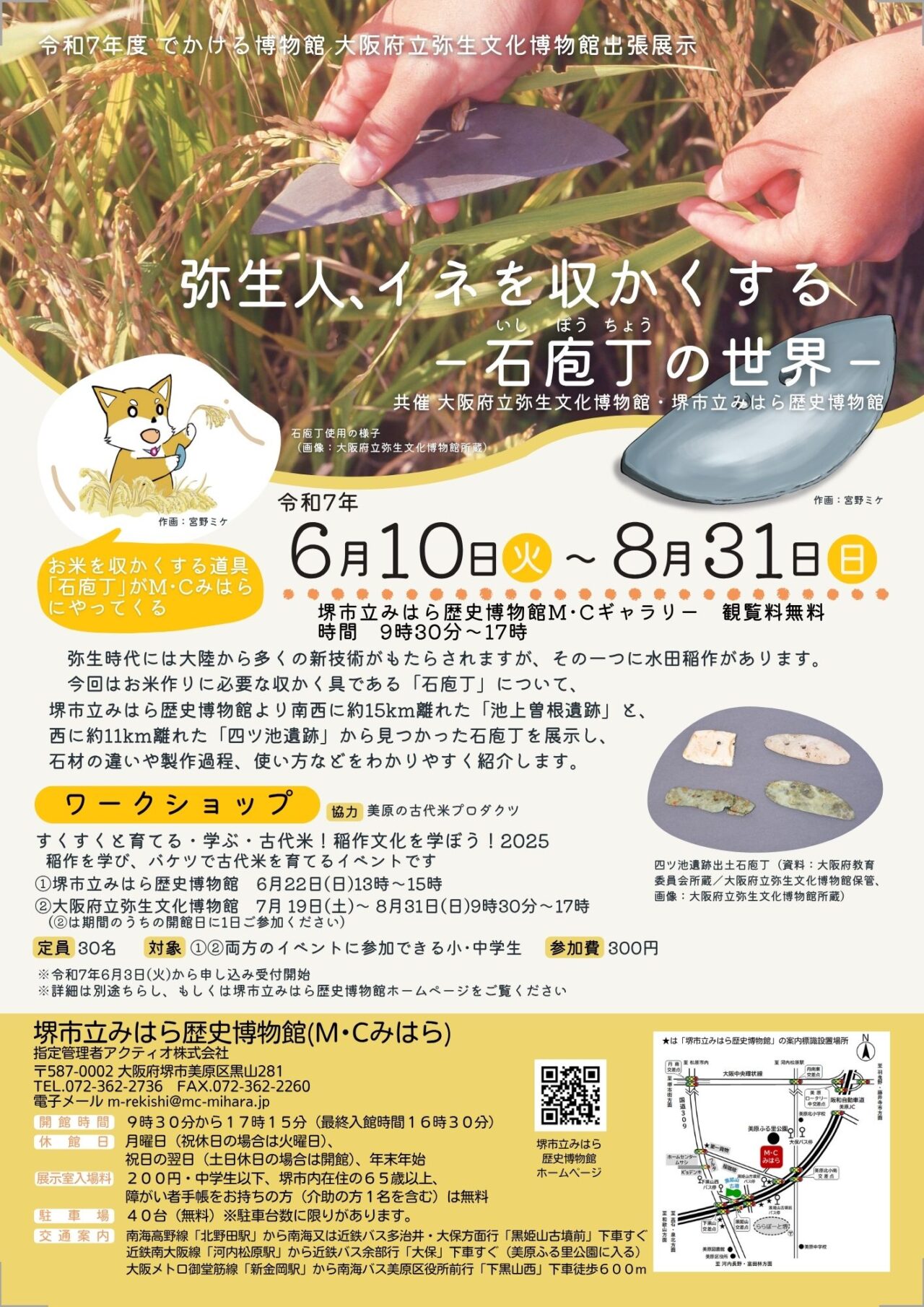 弥生人石包丁