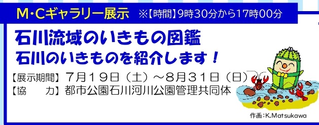 石川流域いきもの図鑑